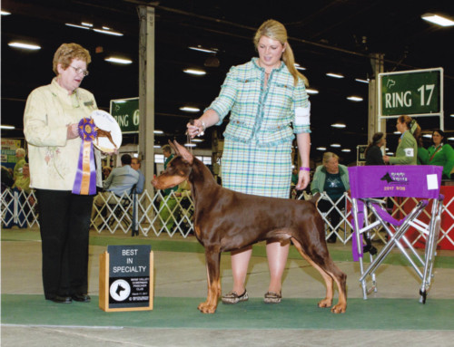2017 March Specialty Shows
